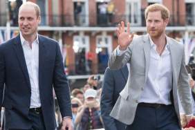 Prince Harry Scores Major Upper Hand Over Prince William — Source