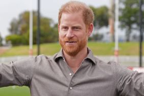 Prince Harry UK trip security family