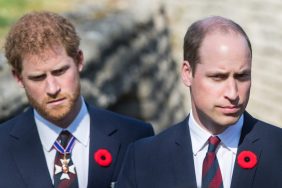 Prince Harry & Prince William's Relationship 'Is the Worst It's Ever Been' — Expert