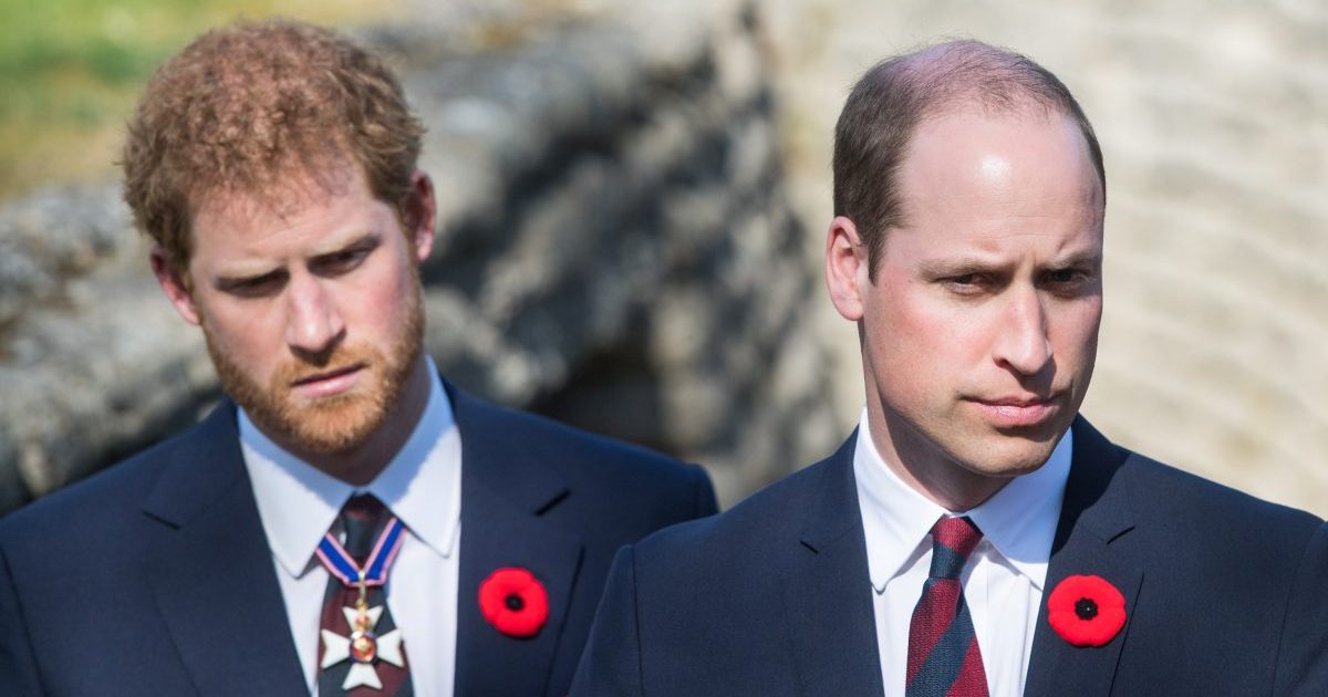Prince Harry & Prince William's Relationship 'Is the Worst It's Ever Been' - Expert