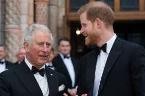 Why King Charles’s Olive Branch to Prince Harry Could Backfire — Insider