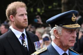 King Charles Offers Major Olive Branch to Prince Harry — Source