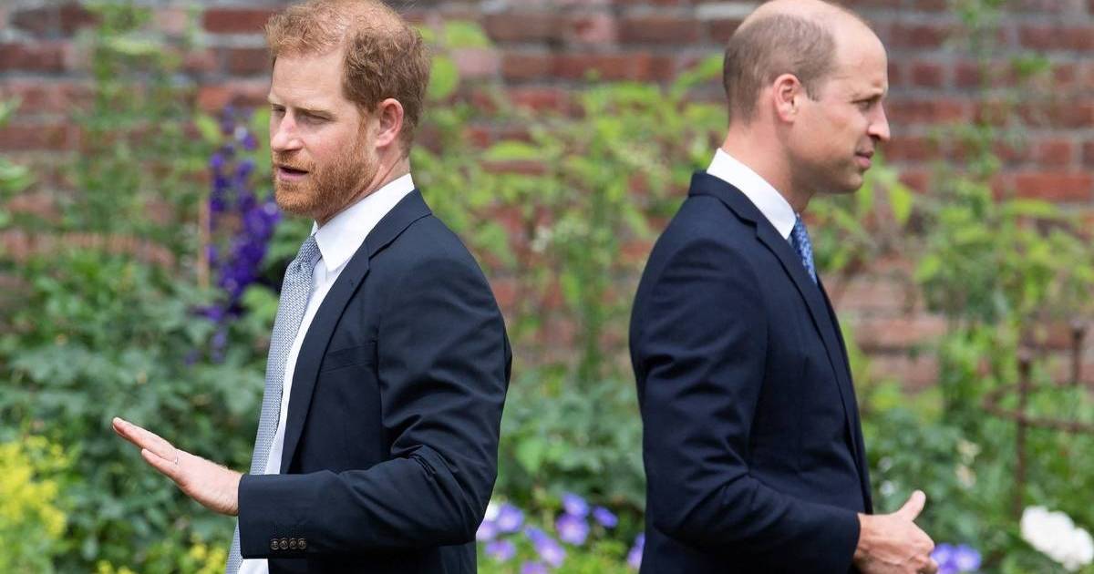Prince William's Could Make Prince Harry's Life Difficult by Doing This - Expert