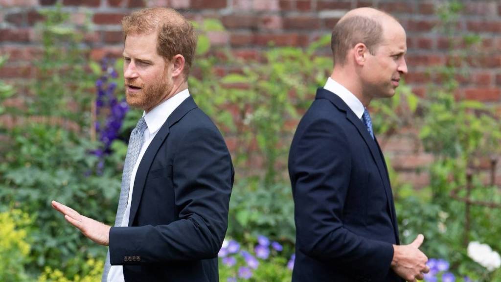 Prince William’s Could Make Prince Harry's Life Difficult by Doing This — Expert
