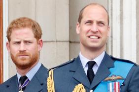 Prince William's Reunion With Prince Harry Comes at a Cost — Source
