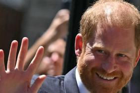 Prince Harry's Hair Transformation Reignites Transplant Speculation — Source
