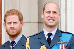 Prince Harry & Prince William Finally Agreed on One Thing