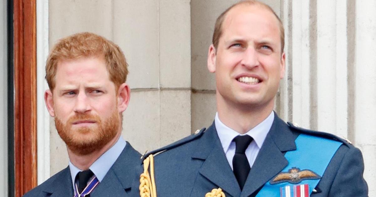 Prince Harry & Prince William Finally Agreed on One Thing