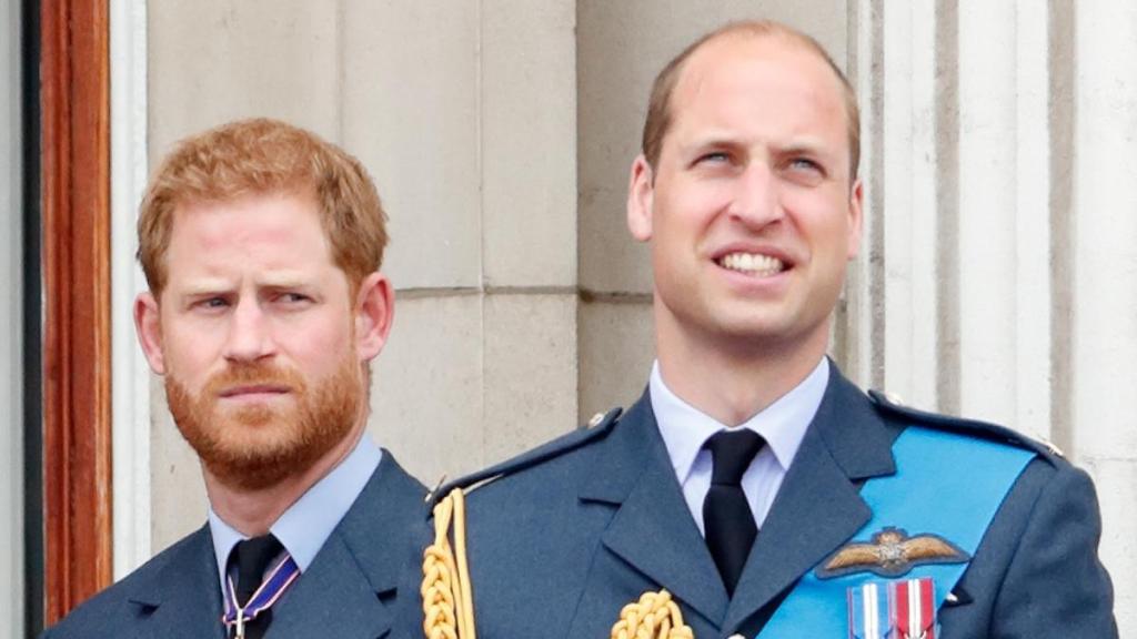 Prince Harry & Prince William Finally Agreed on One Thing