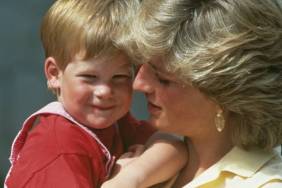 Princess Diana Would Be 'Disappointed' By Prince Harry's This Move — Source