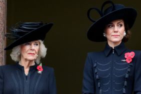 Queen Camilla’s Rivalry With Kate Middleton Centered on One Major Issue — Author