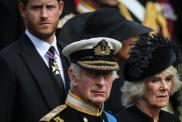 Queen Camilla's Suspicion About Prince Harry & King Charles' Talks Raises Eyebrows — Insider