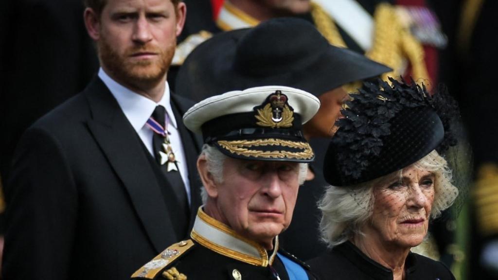 Queen Camilla's Suspicion About Prince Harry & King Charles' Talks Raises Eyebrows — Insider