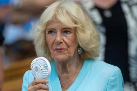 Queen Camilla’s Role in Prince Harry-King Charles Meeting Revealed — Royal Author