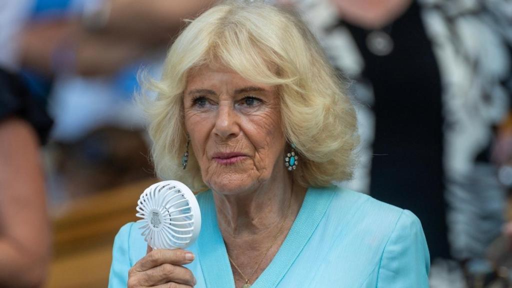 Queen Camilla’s Role in Prince Harry-King Charles Meeting Revealed — Royal Author