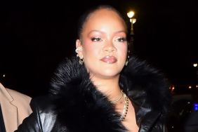 Rihanna's Plunging Savage x Fenty Lace Micro Minidress Is So See-Through