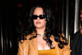 Rihanna's See-Through Lingerie Makes Her Sultry Poses Racier