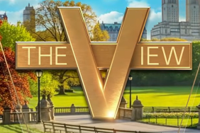 the view