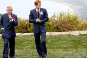 King Charles Faces One Last Plea From Prince Harry — Source