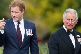 Prince Harry Was Put ‘In His Place’ by King Charles During UK Trip — Insider