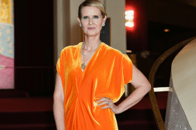 Gilded Age Star Cynthia Nixon Prepares to Set World Record