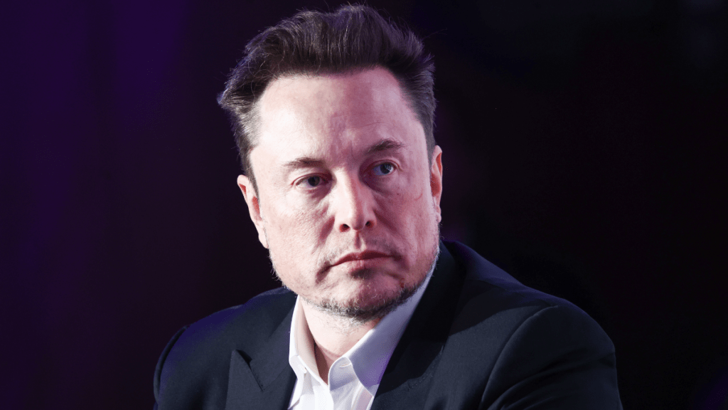 Elon Musk Rejects Racism Claims by Pointing to Half-Indian Partner