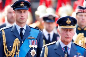 King Charles Has One Brutal Word for Prince William's Reaction—Report