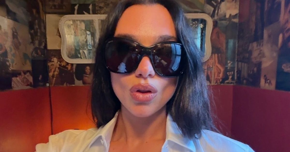 Dua Lipa’s $141 Attega Top Couldn’t Have Bigger Cutouts…
