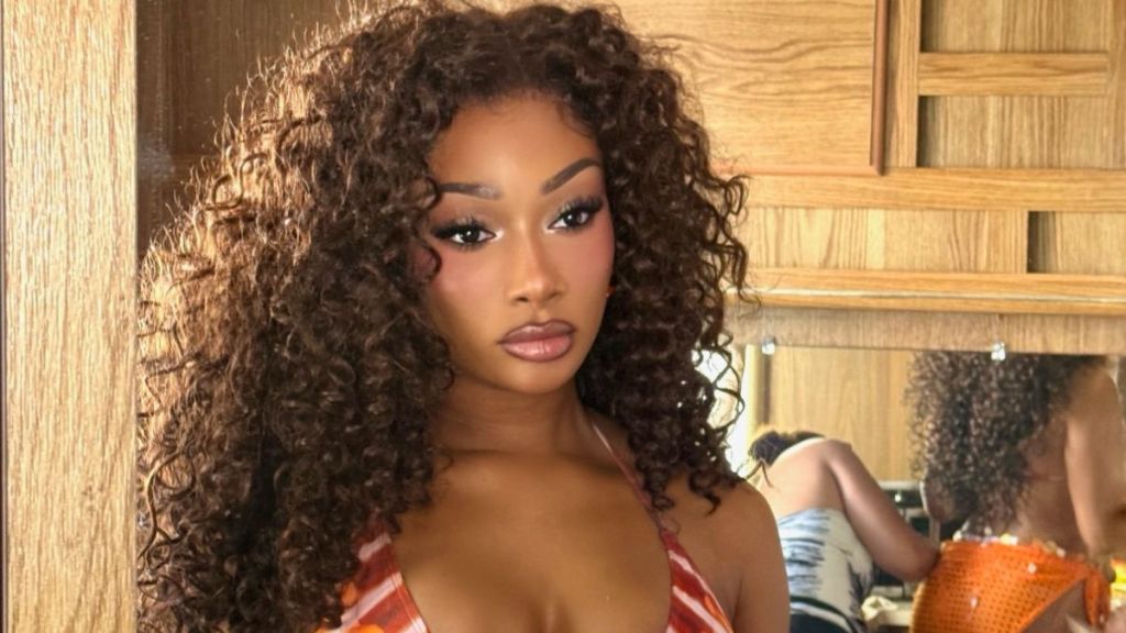 Megan Thee Stallion Tops Crop Top & Micro Shorts With $12 Fashion Nova Hat