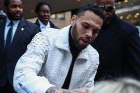 Chris Brown Must Pay Housekeeper's Husband $50K for Loss of Marital Relations After Dog Attack Verdict