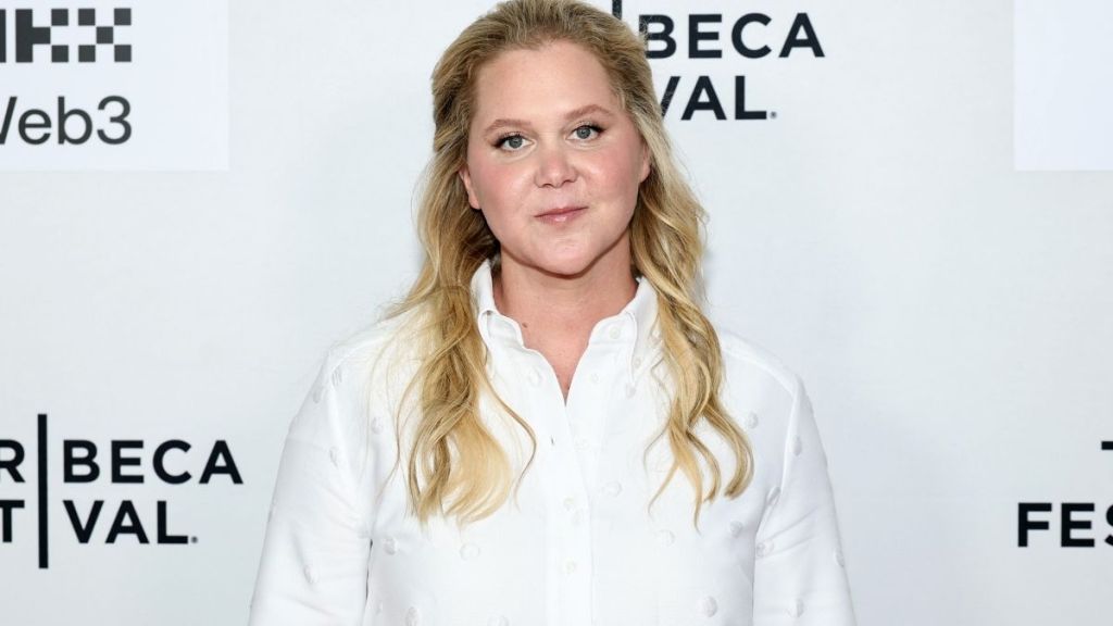 Taylor Swift's Wedding Headlines Prompt Bitter Amy Schumer Joke