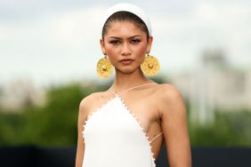 Zendaya Boldly Lifts See-Through Trussardi Dress Slipping off Her Shoulder