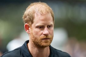 Prince Harry Branded ‘Poison’ by Royal Author After King Charles Meeting