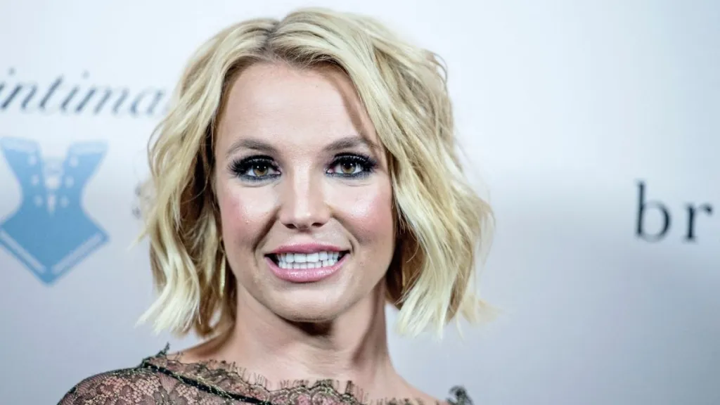 Britney Spears' Highway Stunt Sparks Police Courtesy Call