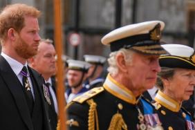 King Charles Could Threaten Prince Harry’s Royal ‘Inheritance’ — Source