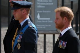 Estrangement Continues Between Prince William and Prince Harry After King Charles Meeting — Source