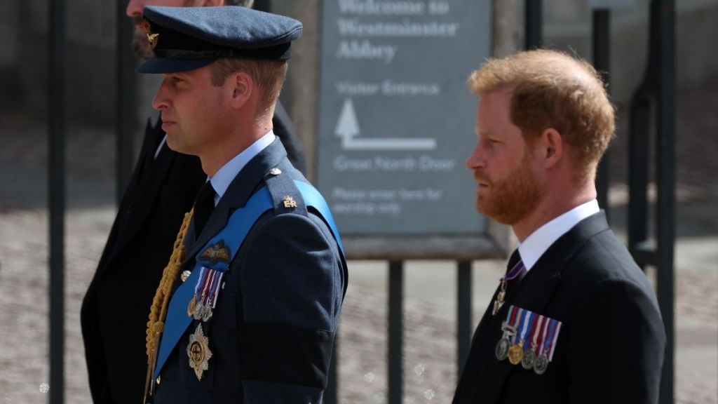 Estrangement Continues Between Prince William and Prince Harry After King Charles Meeting — Source