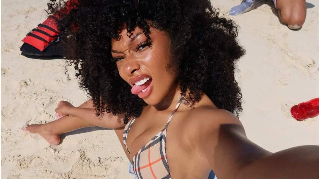 Megan Thee Stallion's Plunging Dreaming Eli Bra Gets a Corset Twist