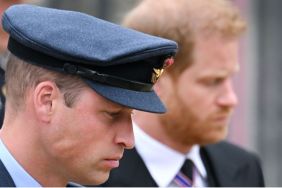 Prince William & Harry Reunion Seems ‘Difficult’ Due to a Major Reason — Source