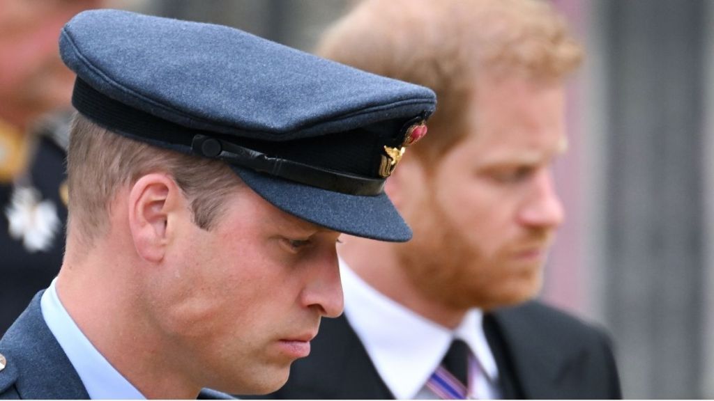 Prince William & Harry Reunion Seems ‘Difficult’ Due to a Major Reason — Source