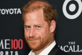 Prince Harry’s ‘Prince of England’ Occupation Title Has a Problem — Source