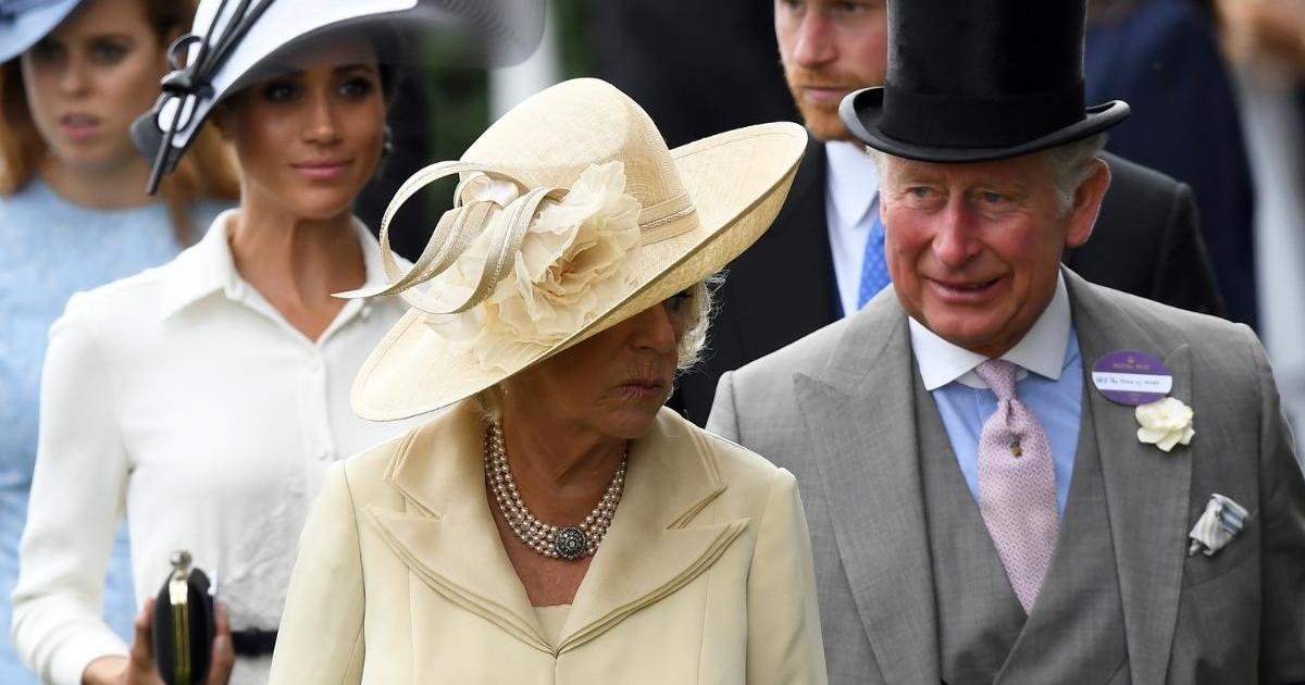 Meghan Markle Sees What Prince Harry Doesn't in Queen Camilla - Source