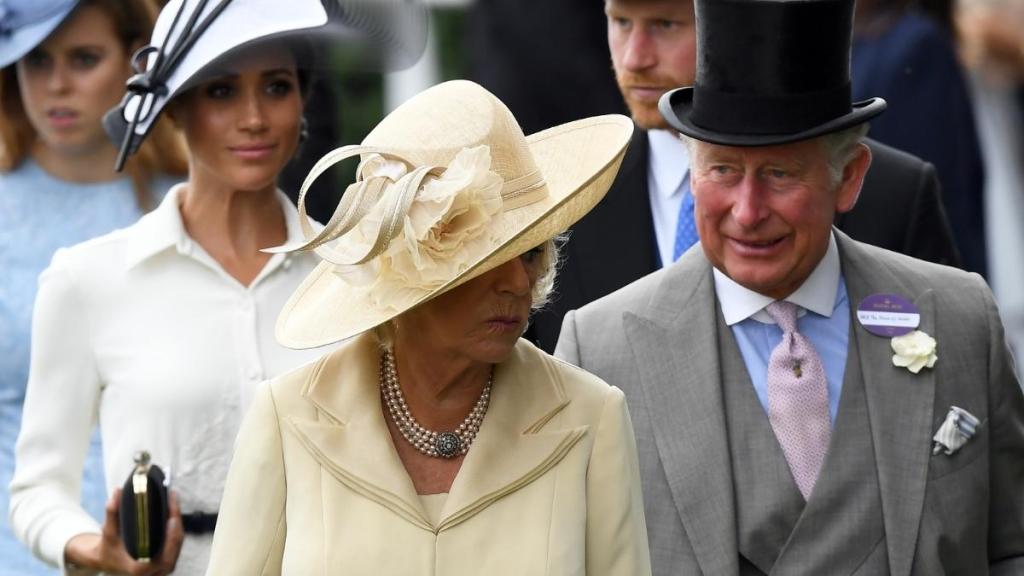 Meghan Markle Sees What Prince Harry Doesn't in Queen Camilla — Source