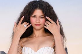 Zendaya's Plunging Tamara Ralph Gown Comes With See-Through High Slits