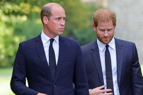 Prince William May Have Reached a Breaking Point Over Prince Harry’s Attitude — Report