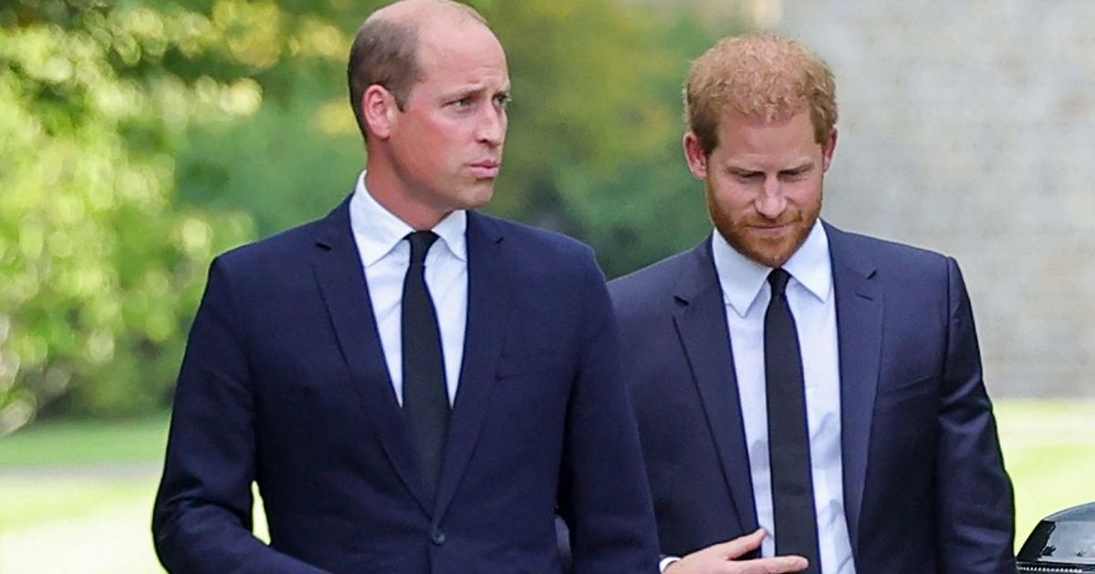 Prince William May Have Reached a Breaking Point Over Prince Harry's Attitude - Report