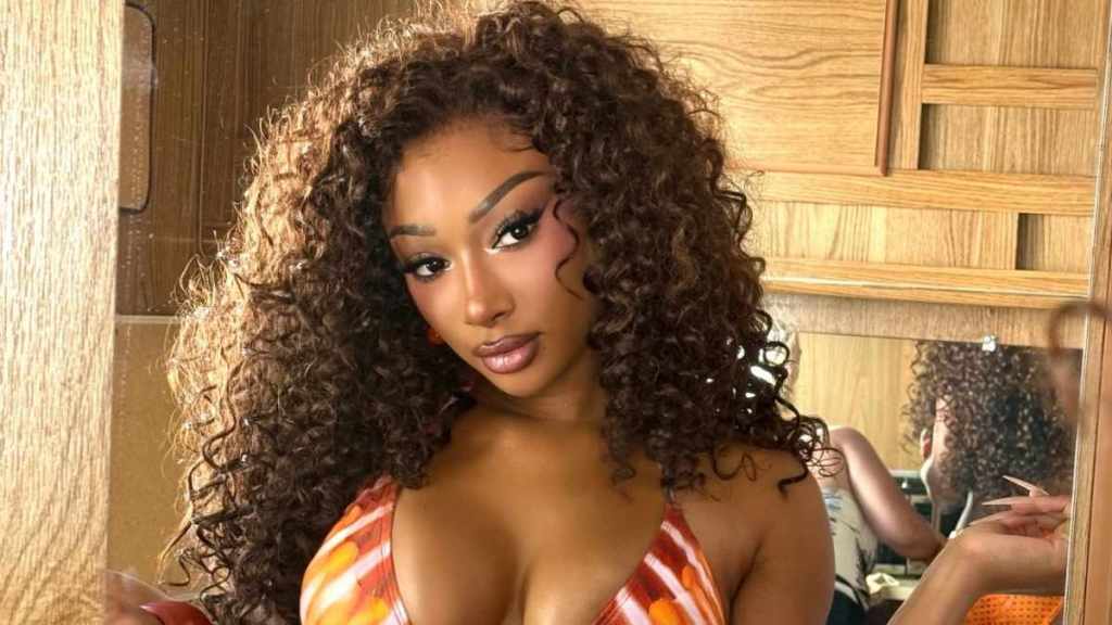Megan Thee Stallion's Dreaming Eli Cutout Pants Are Held Together by Strings