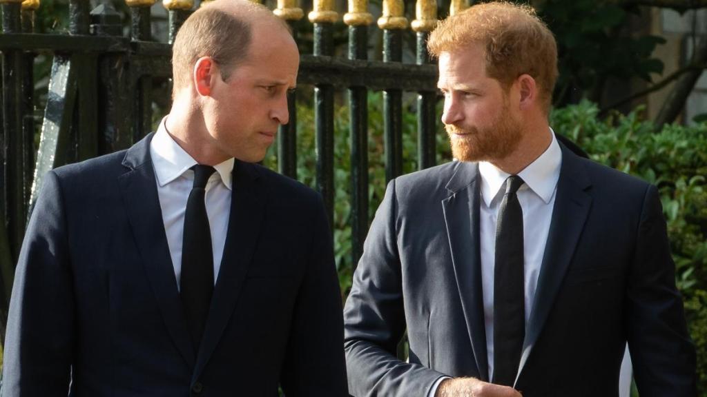 Prince Harry’s Mention of William on UK Trip Not an ‘Overnight’ Relationship Fix — Source