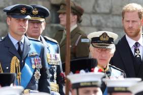 Prince William Sent a Quiet Signal as Prince Harry Met With King Charles — Source
