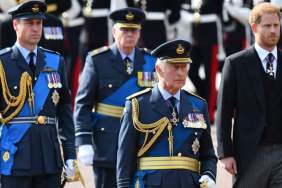 King Charles’ Olive Branch to Prince Harry Sends a Message to Prince William — Expert